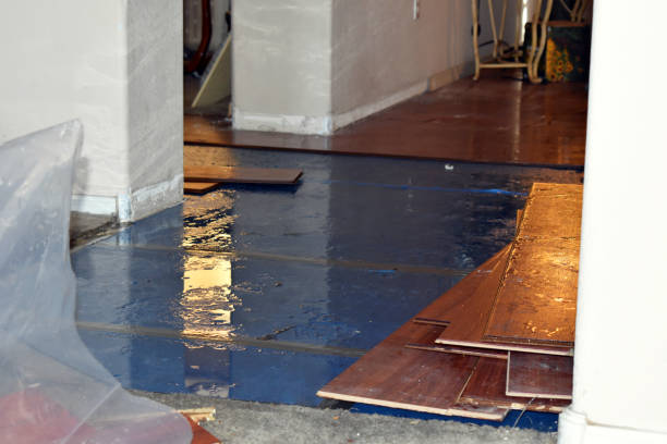 Professional Water Damage Restoration technician working in Springfield, WI