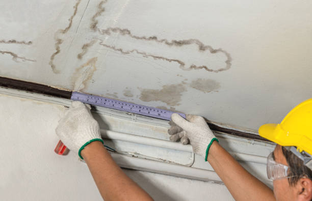 Reliable Water Damage Restoration contractor in Springfield, WI by Water Damage Irwin